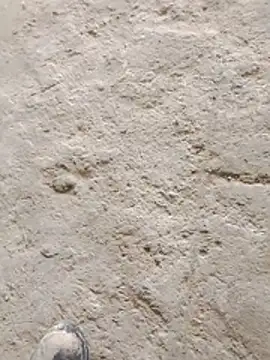 Paugostoso270515 online show from March 2026 04:12:02 PM