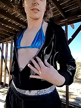 dragonlock online show from November 2025 06:55:02 PM