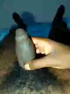 dicksosmall online show from November 2025 07:12:01 PM