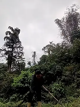 meomeo-00 online show from March 2026 08:06:01 AM