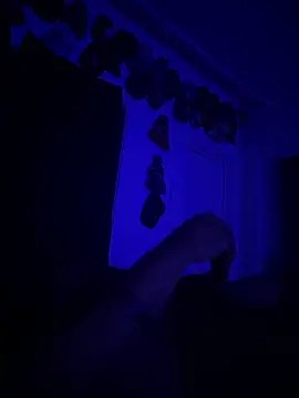 Snapshot of kingping87 chatting on September 2025 10:08:02 AM kingping87 online show from September 2025 10:08:02 AM