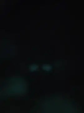 Snapshot of 00x0x00 chatting on May 2026 03:13:01 AM 00x0x00 online show from May 2026 03:13:01 AM