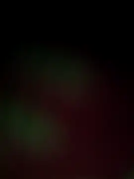 Nandani-758 online show from December 2025 12:00:02 PM