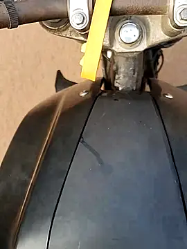 Meow buggie online show from December 2025 02:53:02 AM