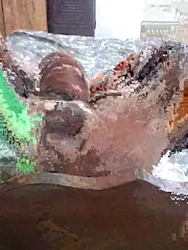 Meow buggie online show from January 2026 07:51:02 PM