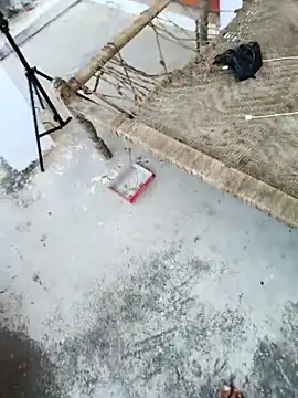 apka rockstarr online show from November 2025 09:11:01 AM