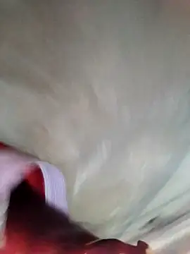 Minsexy66 online show from December 2025 03:23:01 AM