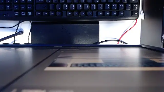 madisson 768 online show from February 2026 01:20:01 PM