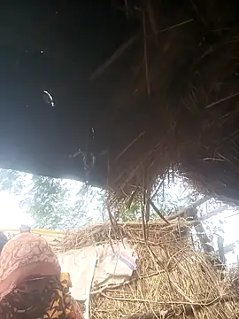 Hot srei online show from December 2025 04:17:02 AM