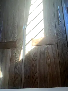 Snapshot of HuggingRegulus chatting on November 2025 07:46:02 PM HuggingRegulus online show from November 2025 07:46:02 PM