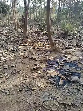 88zaifkhan88 online show from January 2026 04:37:02 AM