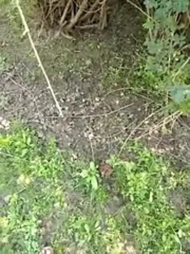 88zaifkhan88 online show from March 2026 05:08:02 AM