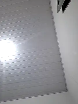 Todinhasua1 online show from November 2025 07:32:01 AM