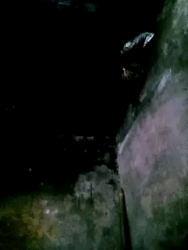 mumu661 online show from February 2026 05:05:01 AM