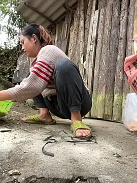 Thaoem online show from December 2025 05:28:01 AM