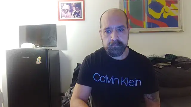 AMIRDIB2025 online show from April 2026 05:26:02 PM