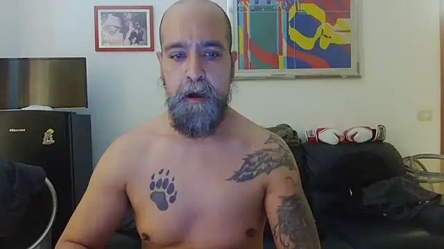 Snapshot of AMIRDIB2025 chatting on June 2026 01:57:02 PM AMIRDIB2025 online show from June 2026 01:57:02 PM