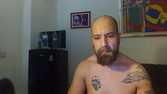 Snapshot of AMIRDIB2025 chatting on July 2026 02:01:01 PM AMIRDIB2025 online show from July 2026 02:01:01 PM