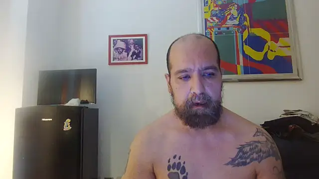 Snapshot of AMIRDIB2025 chatting on July 2026 04:33:01 PM AMIRDIB2025 online show from July 2026 04:33:01 PM