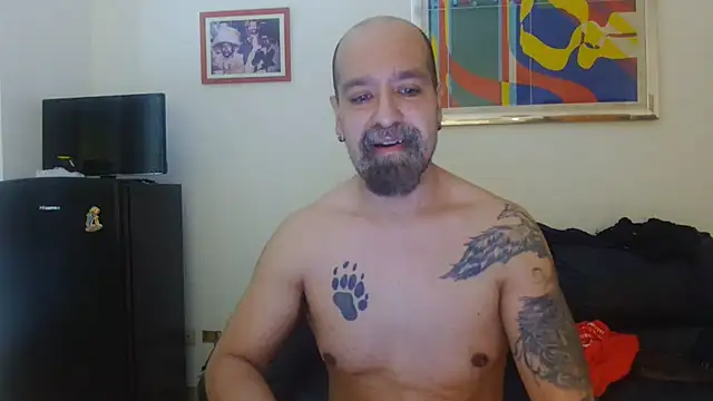 Snapshot of AMIRDIB2025 chatting on July 2026 04:28:01 PM AMIRDIB2025 online show from July 2026 04:28:01 PM