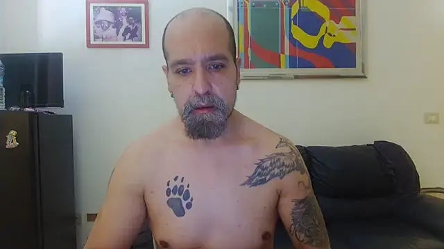 Snapshot of AMIRDIB2025 chatting on August 2026 10:10:01 AM AMIRDIB2025 online show from August 2026 10:10:01 AM