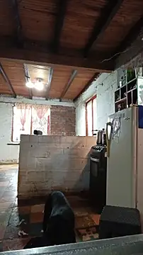 Snapshot of ChanneldelaCroix chatting on February 2026 07:25:02 PM ChanneldelaCroix online show from February 2026 07:25:02 PM