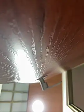 Snapshot of Dafne_se chatting on January 2026 12:36:01 AM Dafne se online show from January 2026 12:36:01 AM