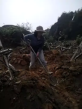 Alibabapi online show from March 2026 02:28:02 AM