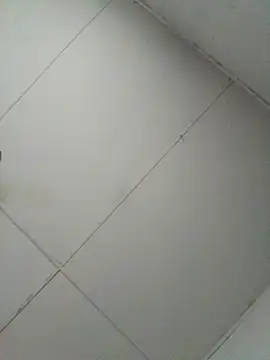 losangelesaid online show from December 2025 12:47:01 PM