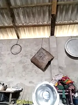 LeoPet2x online show from March 2026 05:44:01 AM