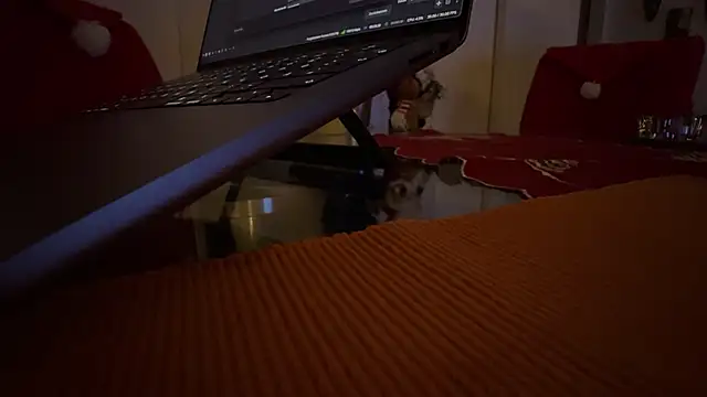 AndyLD20x6 online show from December 2025 11:14:02 PM