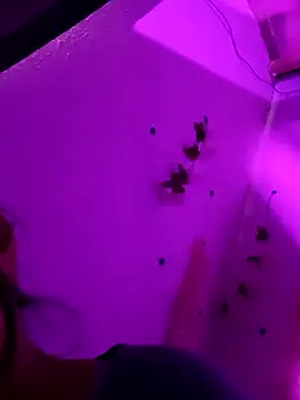 Emy cutee online show from March 2026 01:29:02 PM