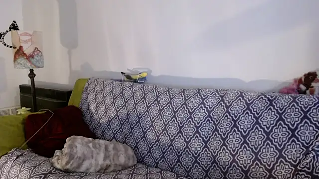 DeliaBlew online show from December 2025 03:10:01 PM