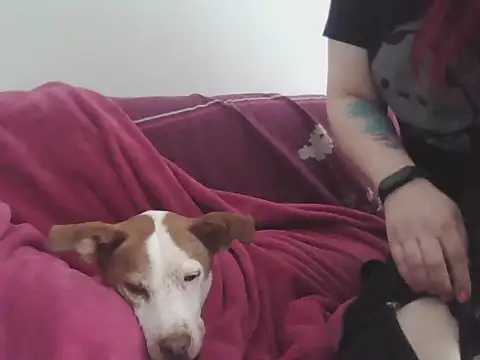 Snapshot of Darkytah chatting on February 2026 03:34:02 PM Darkytah online show from February 2026 03:34:02 PM