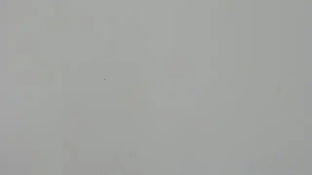 Ladymadinght online show from February 2026 02:01:02 PM