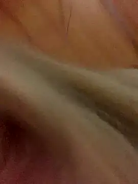 ninfetinhagata online show from December 2025 01:47:02 AM