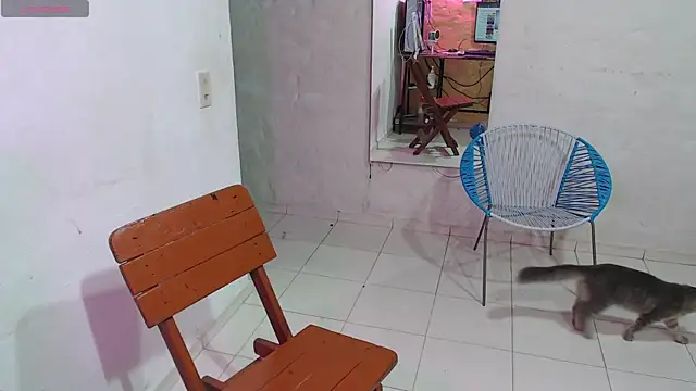 maxI dick33 online show from February 2026 10:23:02 AM