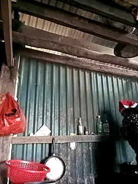 sary-hot2x online show from January 2026 03:31:01 AM