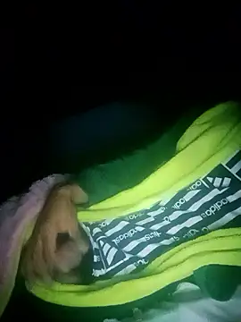 OrangishBank827 online show from January 2026 08:29:01 AM