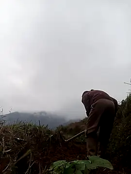 mon-monk online show from December 2025 01:11:01 AM