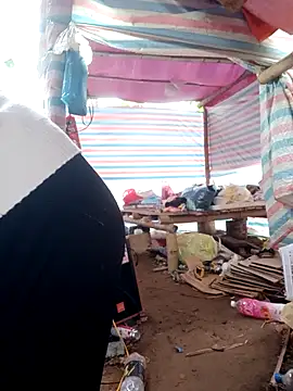 Him MountainGirl online show from February 2026 03:04:01 AM