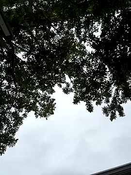 cmvoo online show from December 2025 06:53:02 AM