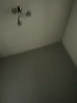 Yorkieboiiiiiii online show from December 2025 11:50:01 AM