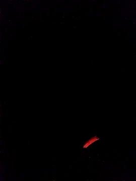 leobct555 online show from March 2026 03:10:02 AM