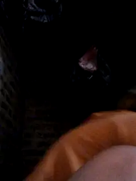 Snapshot of yana-zz chatting on March 2026 01:38:01 AM yana-zz online show from March 2026 01:38:01 AM