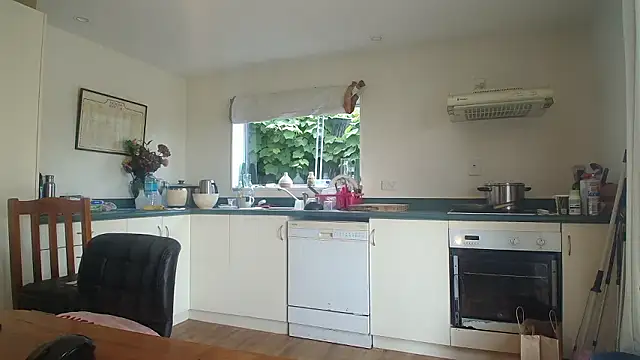 Snapshot of Andypie6 chatting on January 2026 11:39:02 PM Andypie6 online show from January 2026 11:39:02 PM