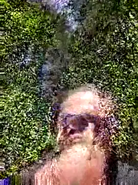 Snapshot of Andypie6 chatting on January 2026 02:39:01 AM Andypie6 online show from January 2026 02:39:01 AM