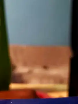 Snapshot of Roberto772 chatting on February 2026 03:38:02 AM Roberto772 online show from February 2026 03:38:02 AM