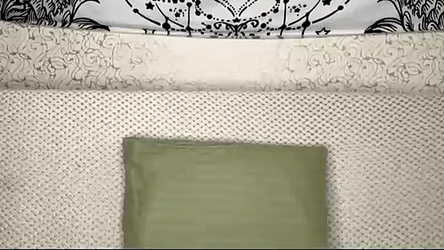 Shining Robi online show from April 2026 01:16:01 PM