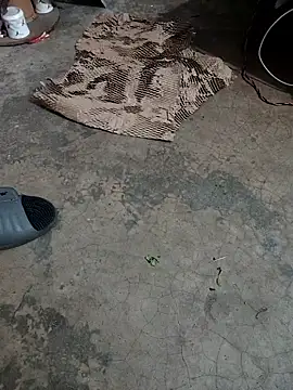 Lovely priya1001 online show from April 2026 01:41:02 AM